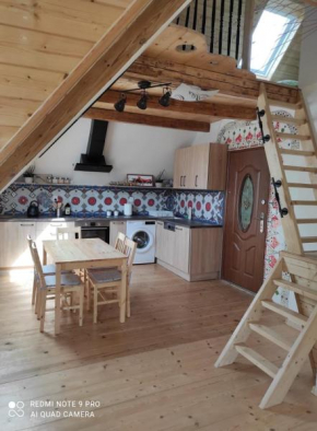 art-house 4 Attic Apartment Decin